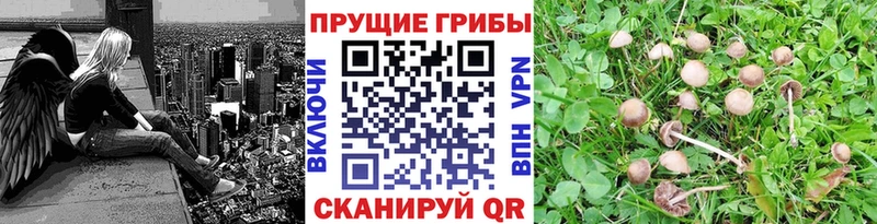 купить закладку  Лабытнанги  Галлюциногенные грибы Magic Shrooms 